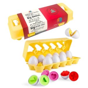 Egg Sorting Toy