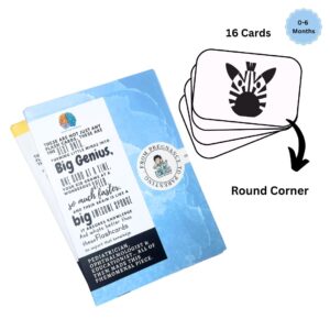 High Contrast Flash Cards