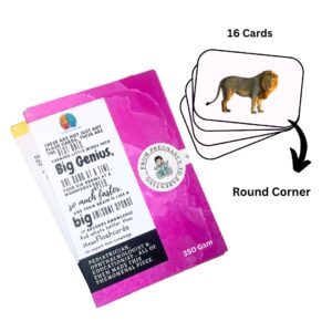 wild animals flash cards for kids