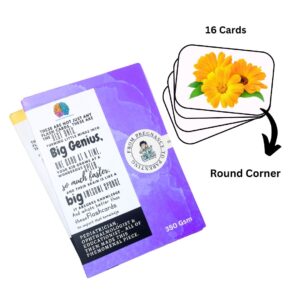 flowers flash cards for kids